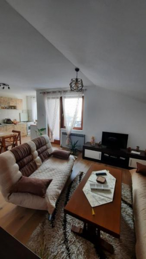 Studio Apartman Sarajevo 202